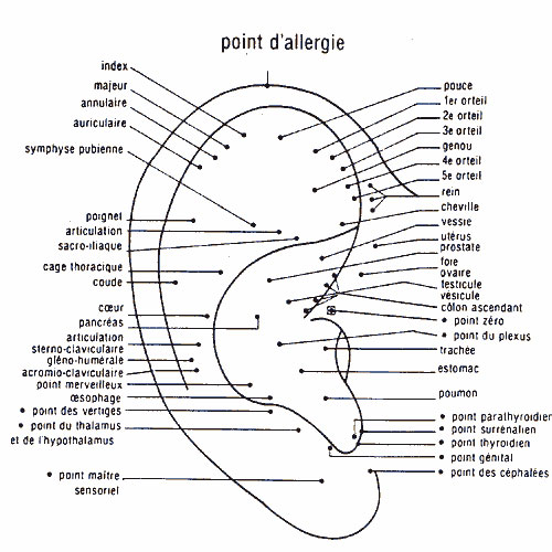 Cartogrpahie Réflexologie Docteur NOGIER